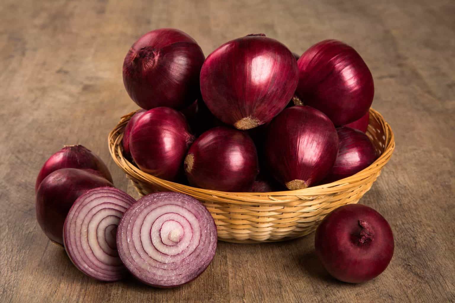 Dürfen Meerschweinchen Lauch (Porree) essen? Vollkommen tierisch